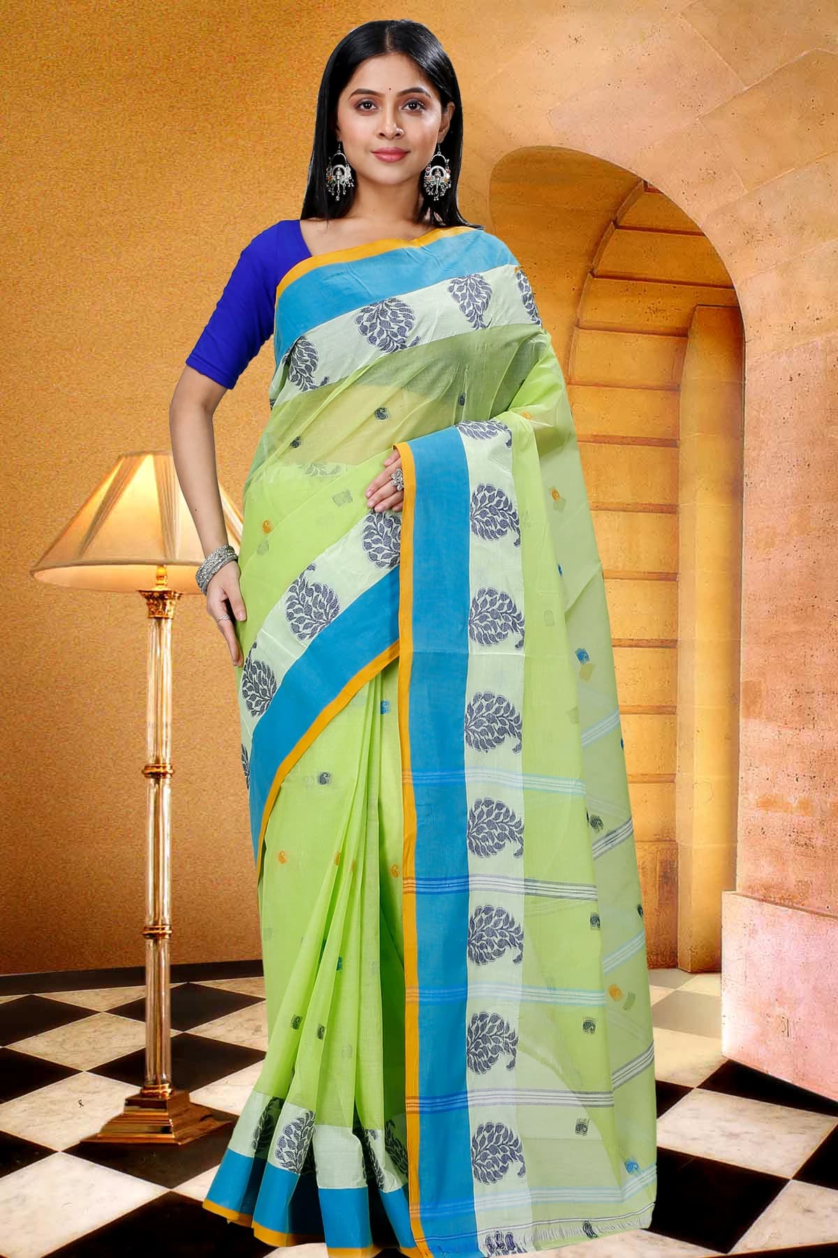 Tant Saree 10